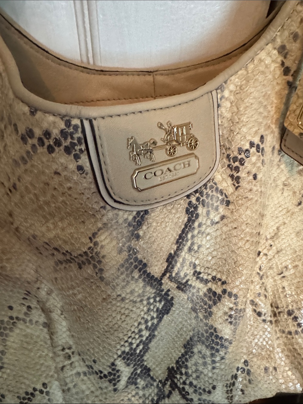 Coach Cream and Brown Snake-Print Leather Hobo Bag - Picture 10 of 10